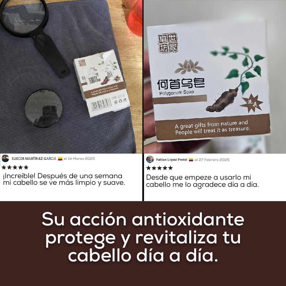 Shampoo Anticaída en Barra X 2 + Obsequio 🎁| Cabello Fuerte Desde la Raíz